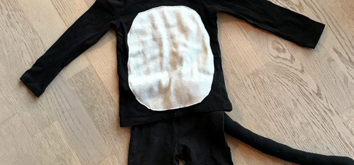 Kattekostume DIY